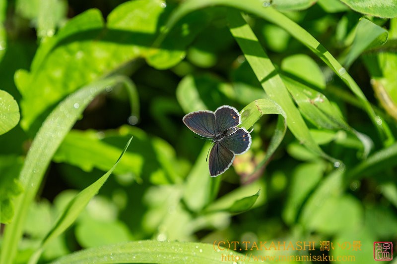 ../Images/7R240723 (22).jpg